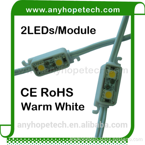 Exquisite design high light 2LEDs 12VDC smd 5050 led module